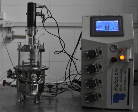 BLBIO-5GJA  原位灭菌机械搅拌玻璃发酵罐（台式)