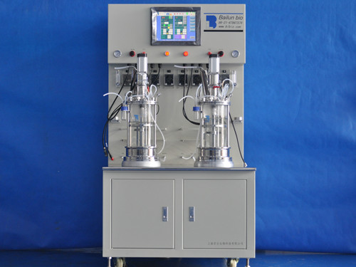 BLBIO-XGJ-2-H  二联离位灭菌机械搅拌玻璃发酵罐（柜式）