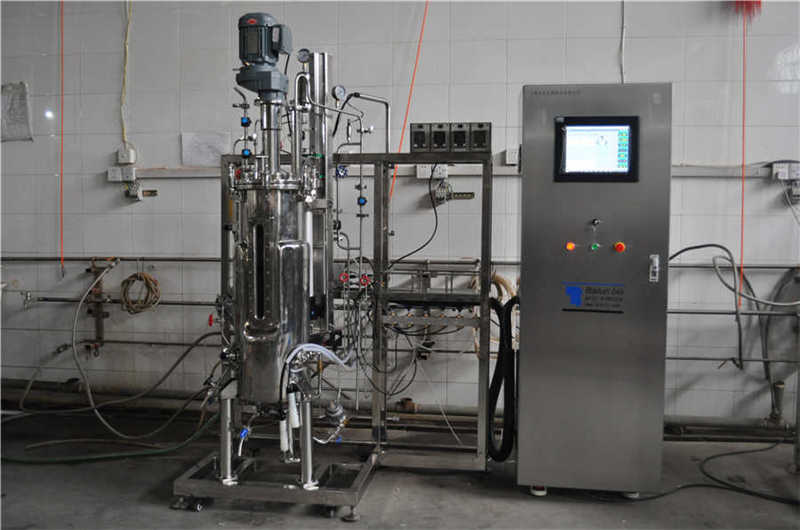100L自动发酵罐（落地式不锈钢控制箱） BLBIO-100SJA-S