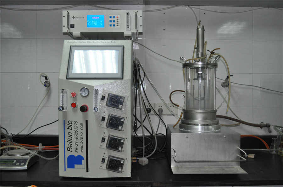 5升离位灭菌磁力搅拌玻璃发酵罐 BLBIO-5GC