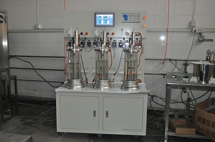 BLBIO-Anaerobic-XGC  磁力传动机械搅拌厌氧玻璃发酵罐