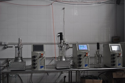 BLBIO-Anaerobic-XGJ  机械搅拌厌氧玻璃发酵罐