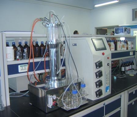 Airlift glass fermenter (off-site sterilization)