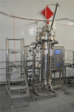 JiangsuAirlift fermenter(100L)