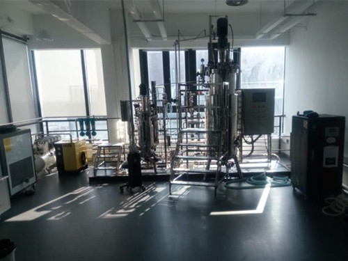 Jiangsu300L fermenter|bioreactor