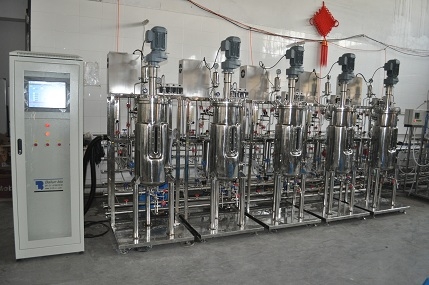 50L 5 tanques de fermentación de acero inoxidable enlaces